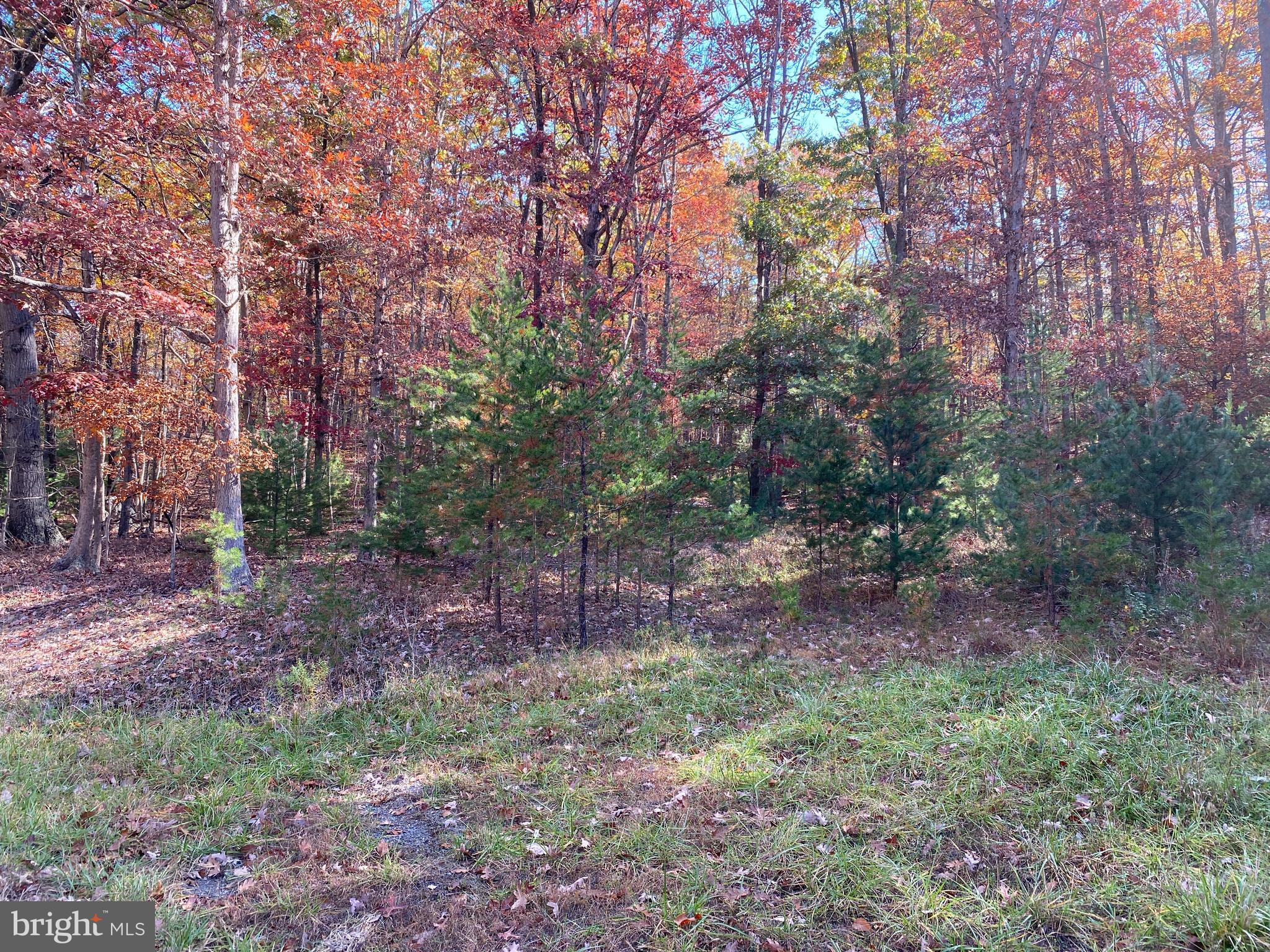 QUAKER WOODS SUBDIVISION - Land