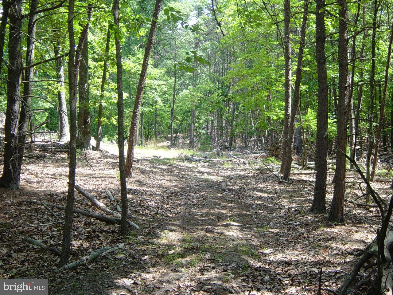 QUAKER WOODS SUBDIVISION - Land