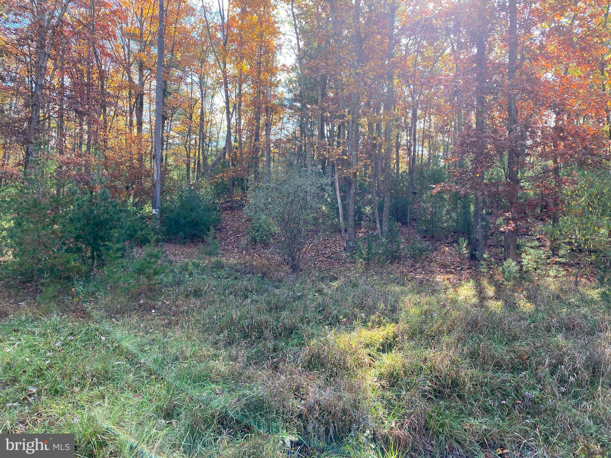 QUAKER WOODS SUBDIVISION - Land