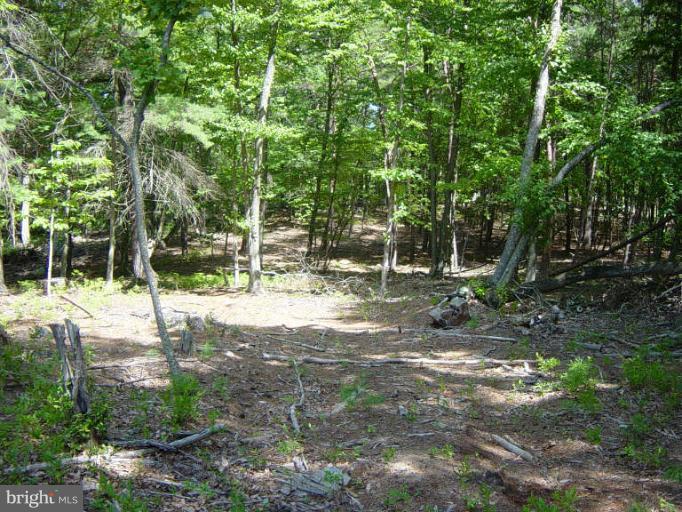 QUAKER WOODS SUBDIVISION - Land