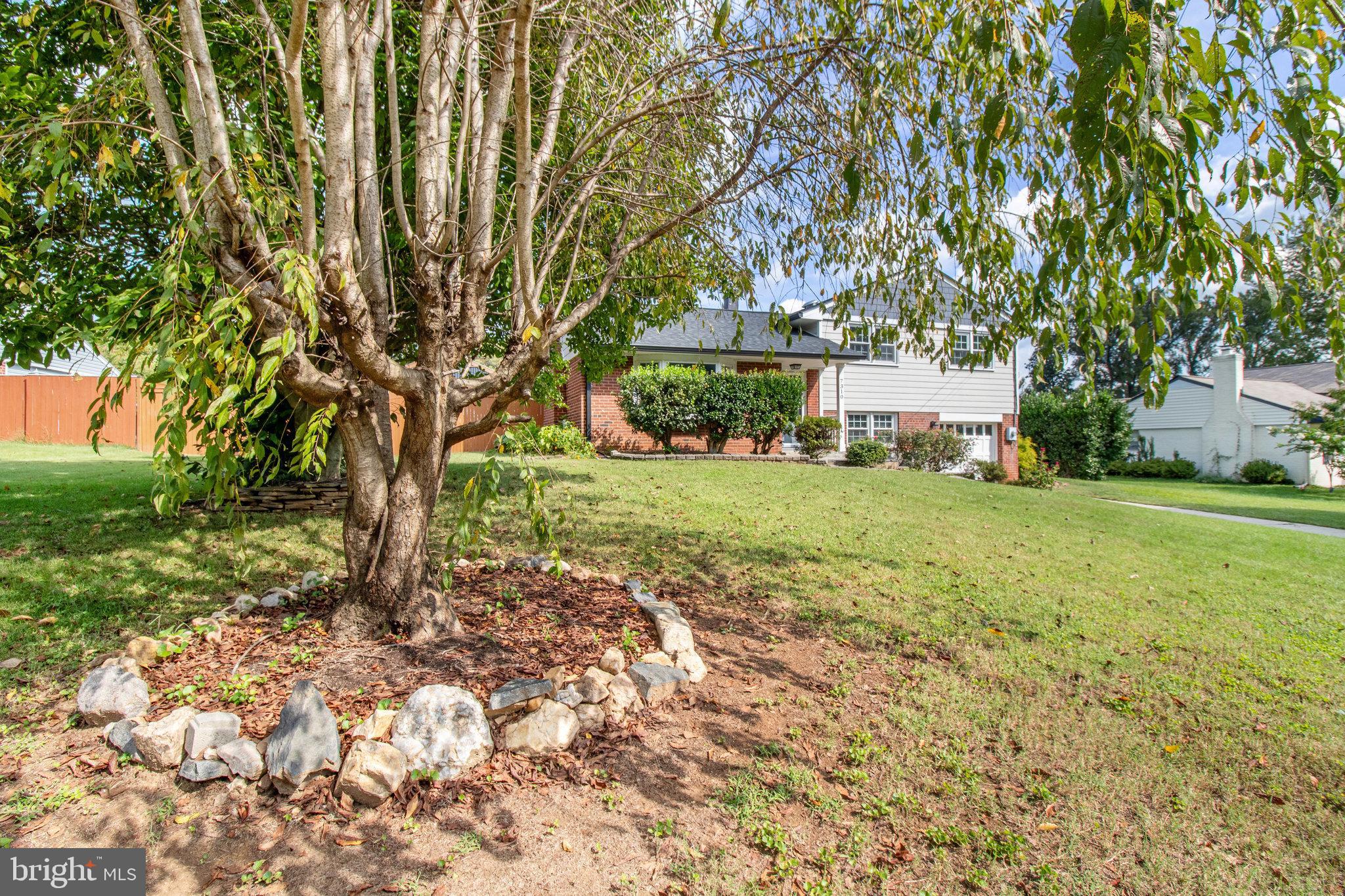 NORTH SPRINGFIELD - Residential