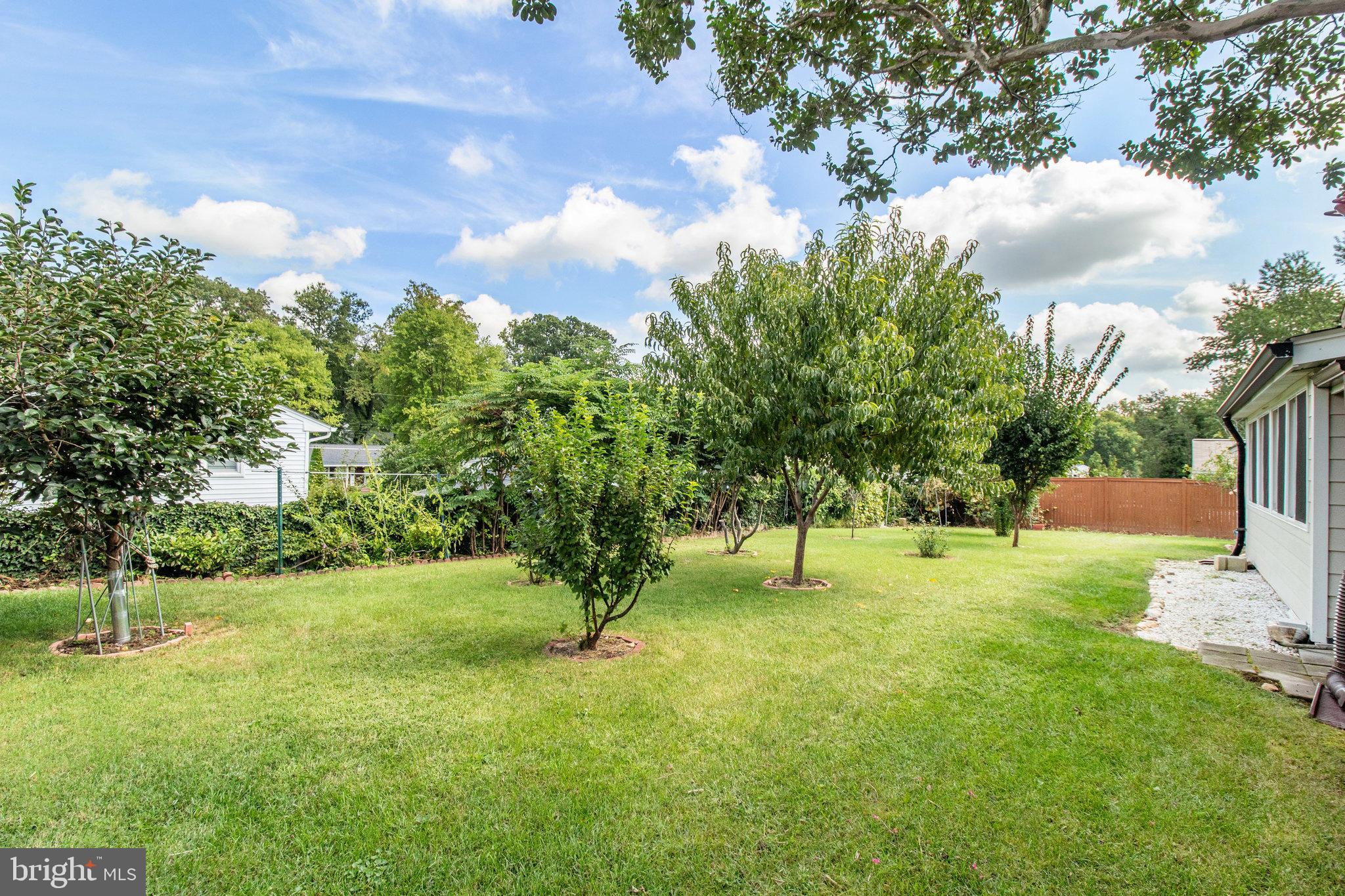 NORTH SPRINGFIELD - Residential