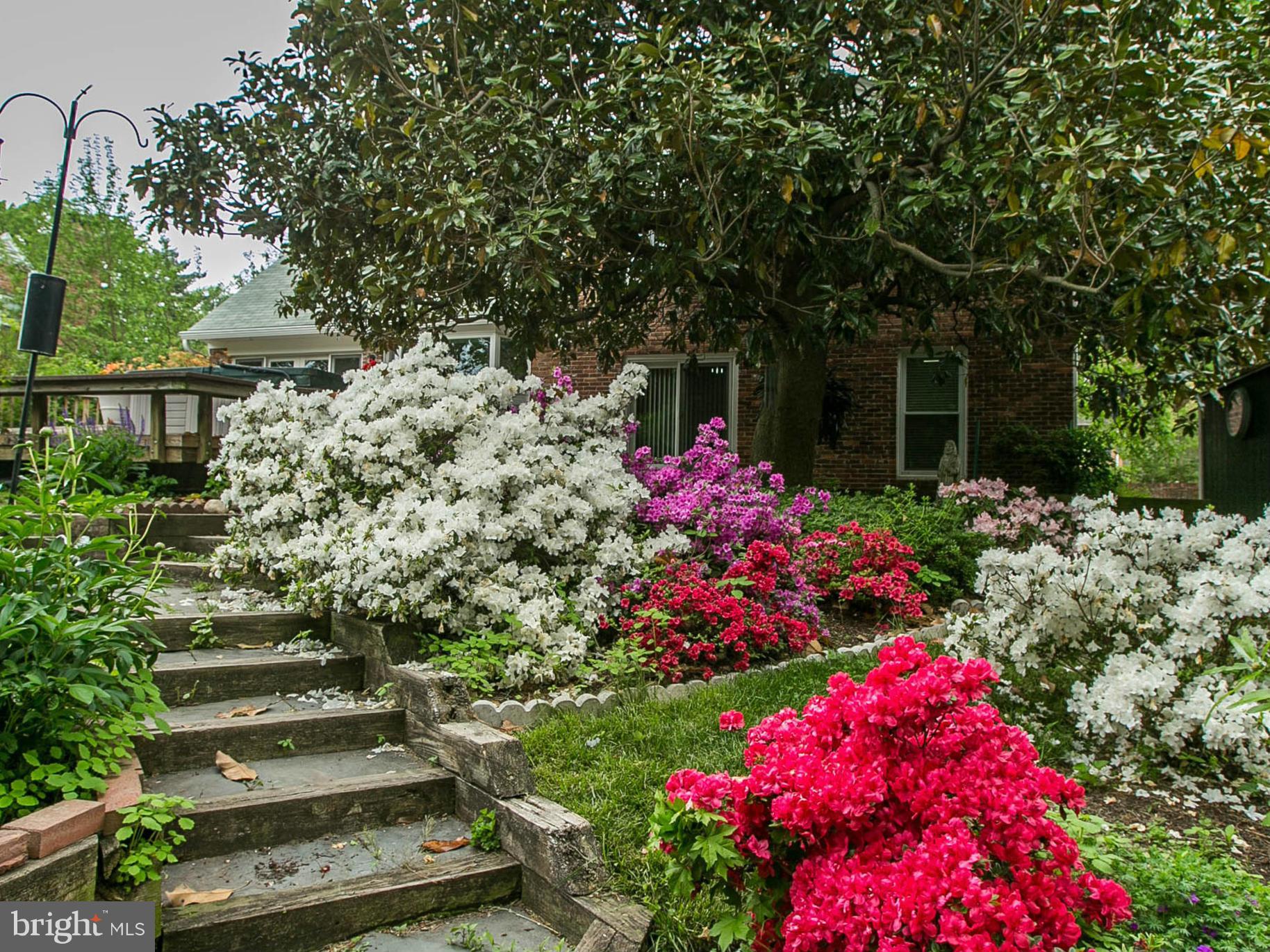 FALLS HILL - Residential