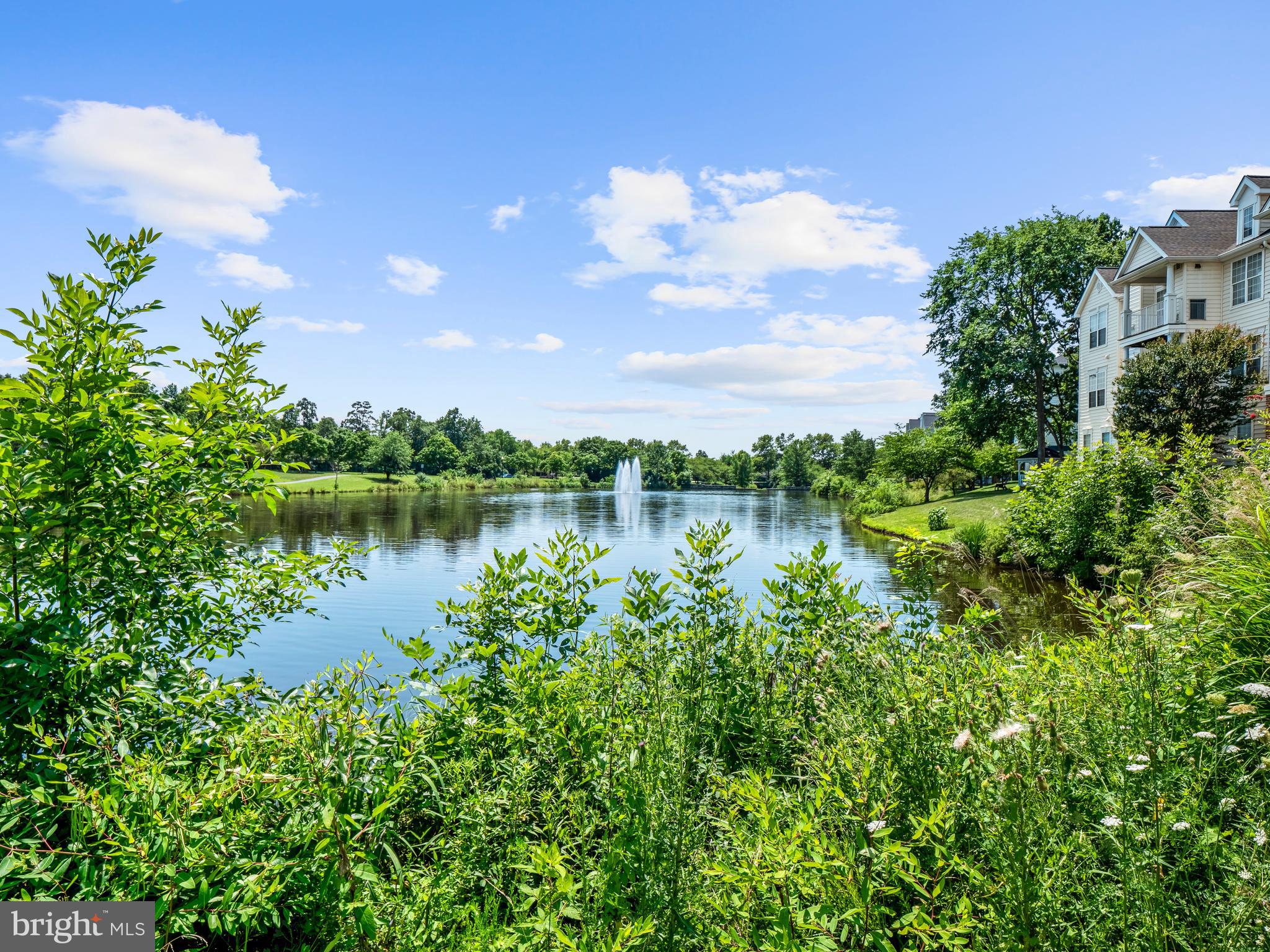 LAKESIDE AT SOUTH RIDING - Residential