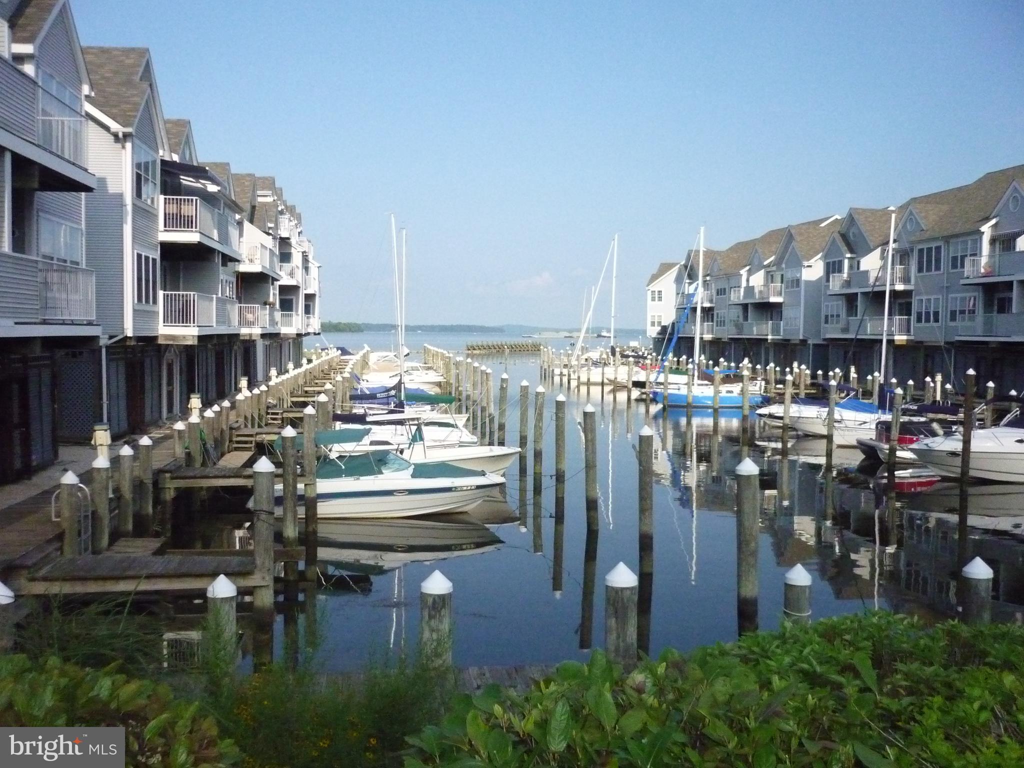 CANVASBACK COVE - Residential Lease