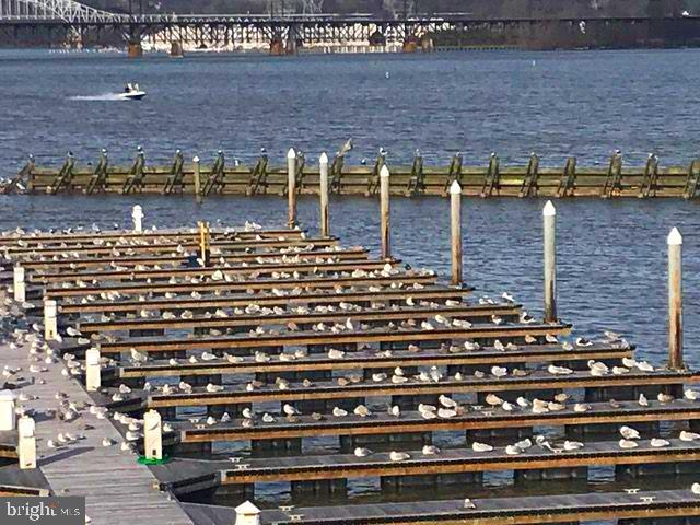 CANVASBACK COVE - Residential Lease