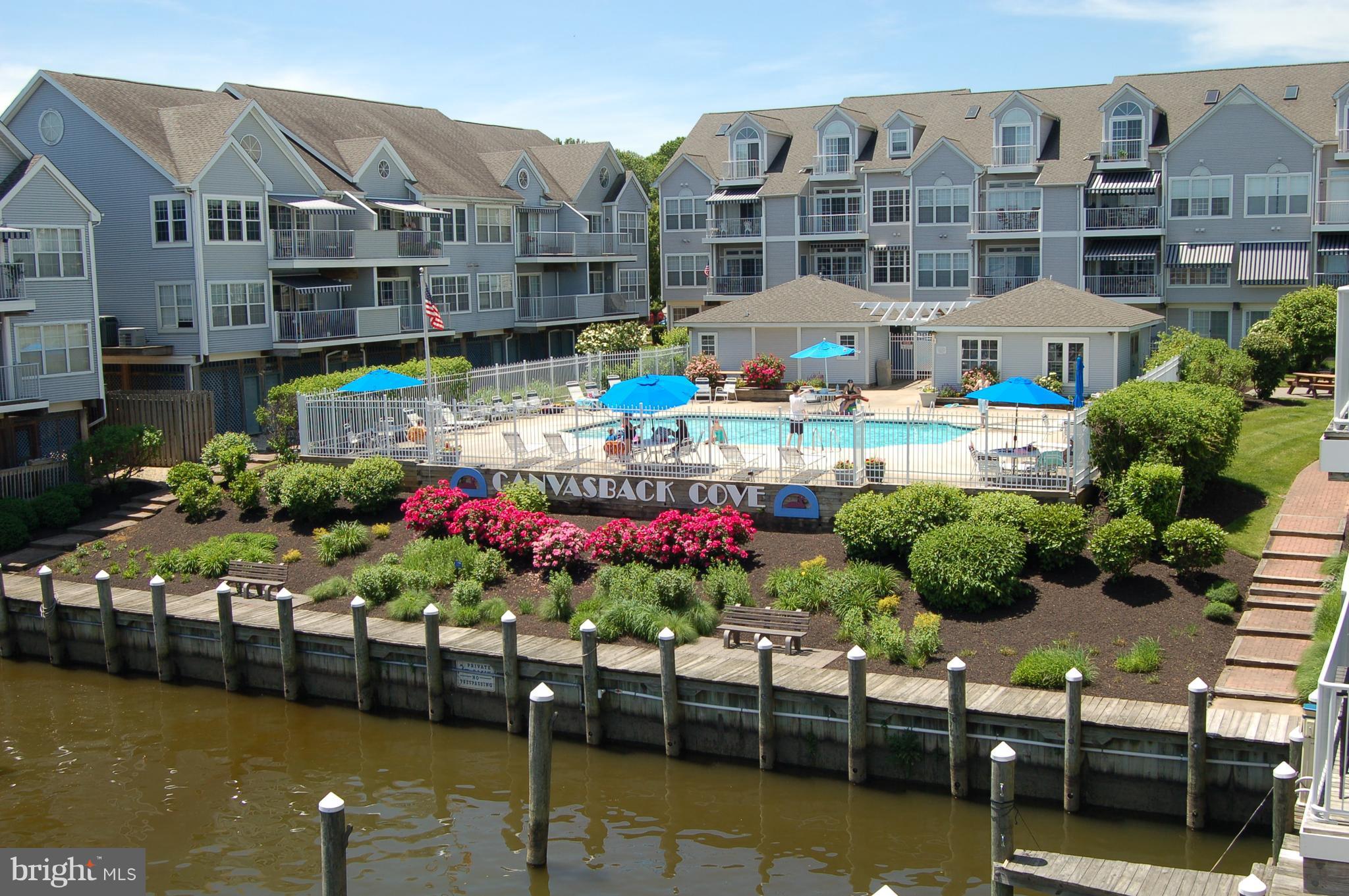 CANVASBACK COVE - Residential Lease