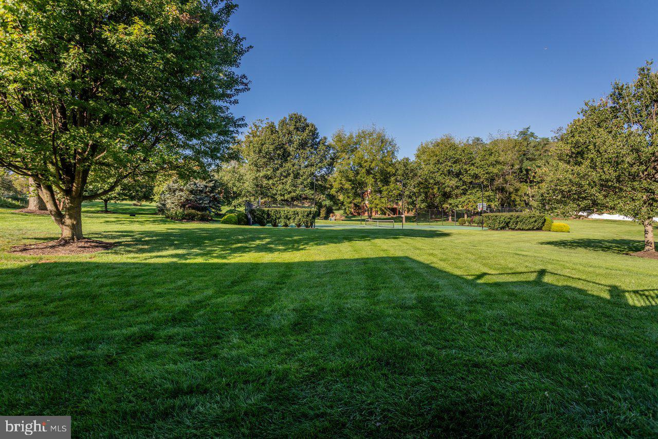 3343 ARGYLE COURT