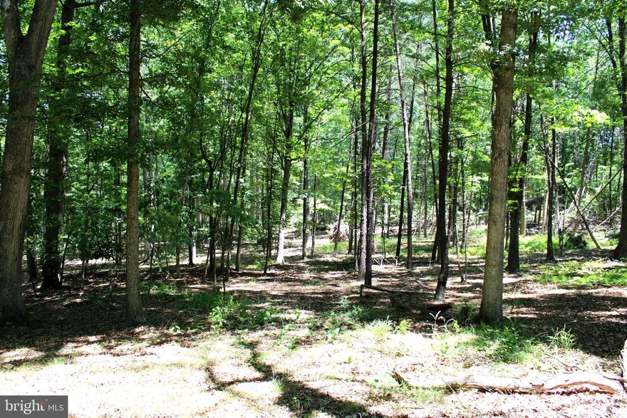 Just a short 2-hour drive from the Washington DC Metro area, this stunning property offers 9.66 acres of pristine land with rolling hills and mature oak and hickory trees. This land is your perfect getaway for outdoor recreation or building your forever home in the tranquil mountains of West Virginia. Located in South Potomac Forest with modest restrictions, you’ll have the freedom to enjoy your property while maintaining its natural beauty and value. Imagine weekends spent hunting, hiking, and exploring near the South Branch of the Potomac River and numerous public hunting areas. This property is a haven for outdoor enthusiasts seeking peace and adventure. Whether you're looking to invest in a recreational retreat or create a legacy home, this land offers endless possibilities. Don't miss the chance to own your slice of West Virginia's natural beauty. Make your dream a reality today.