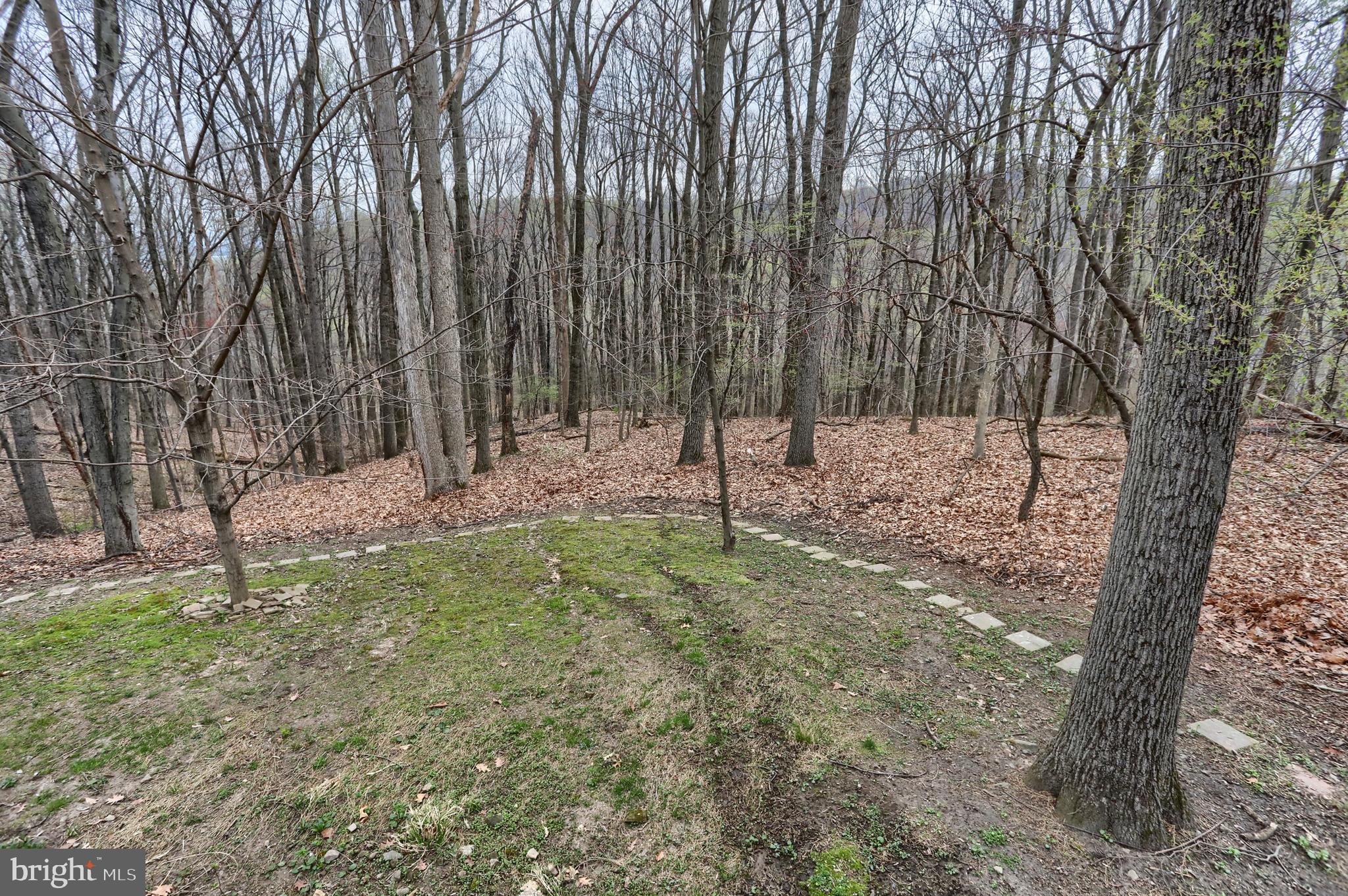 DERRY WOODS - Residential