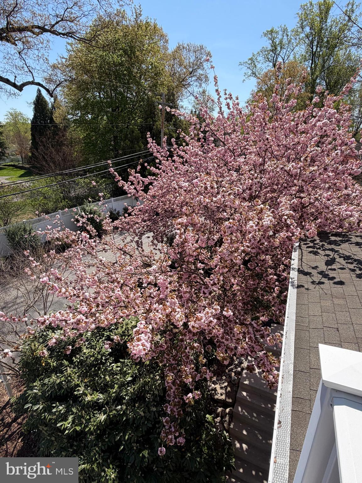 HERALD HARBOR - Residential