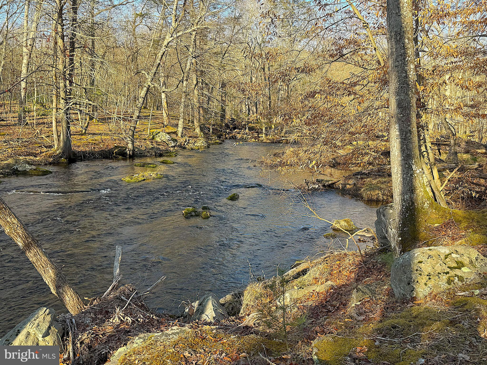 SAW CREEK ESTATES - Residential