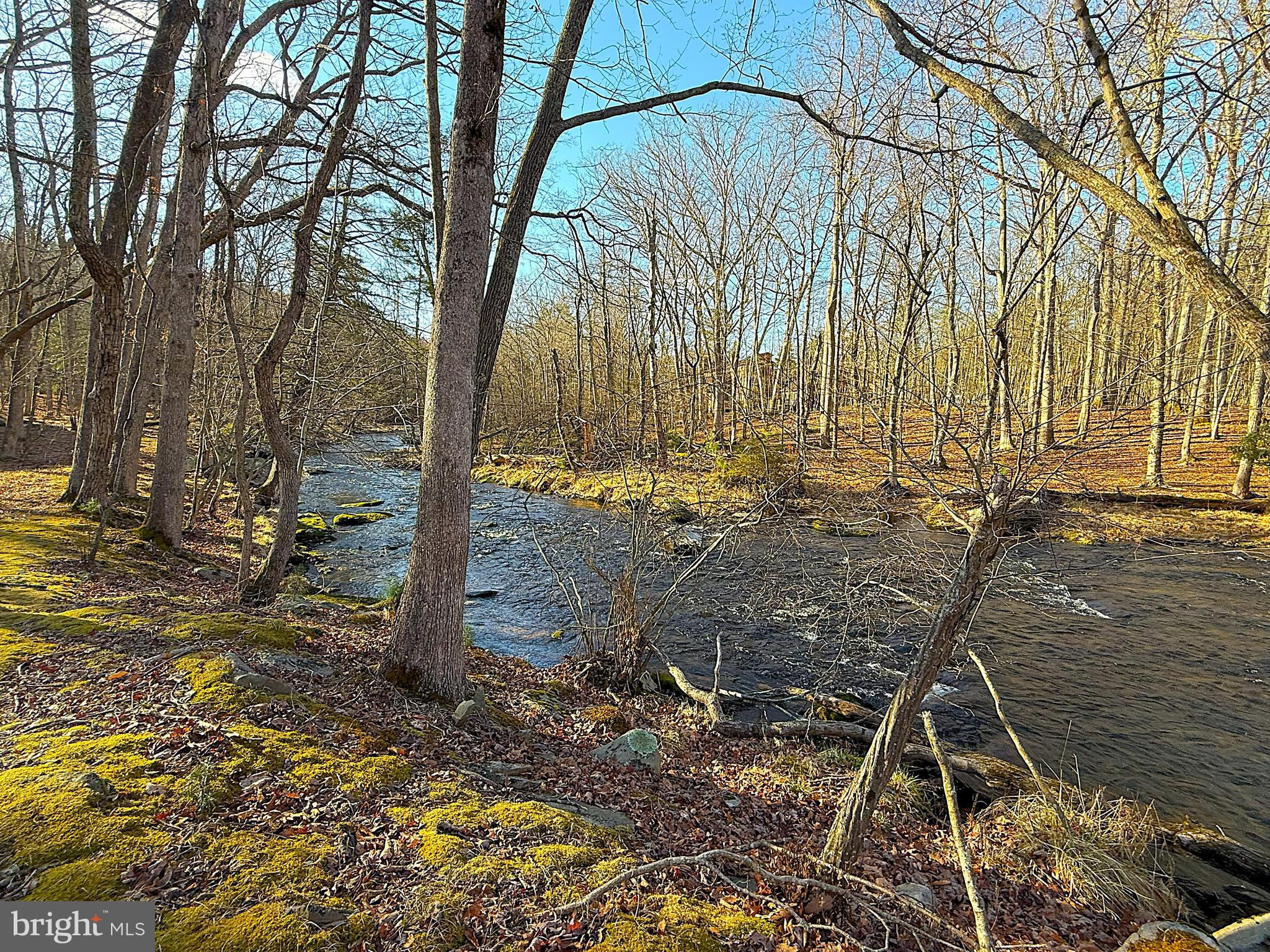 SAW CREEK ESTATES - Residential