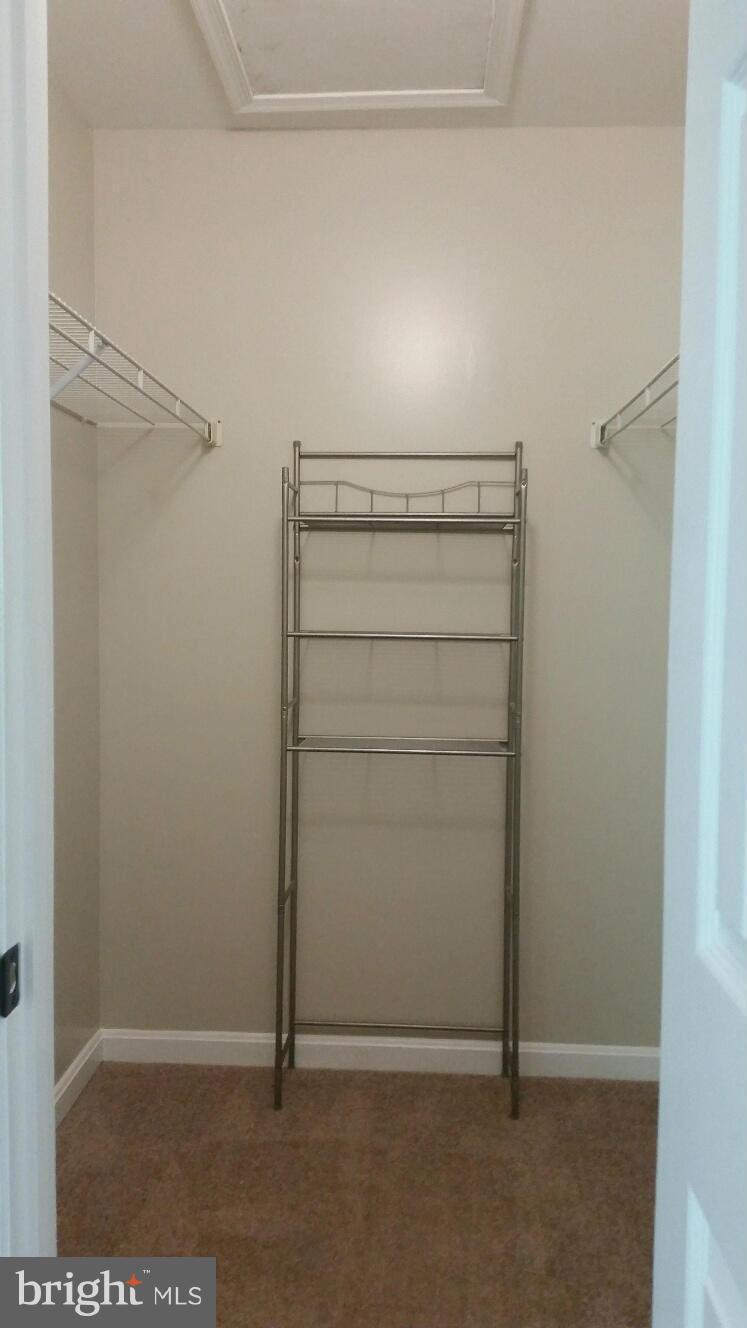 CEDARS OF WARRENTON - Residential Lease