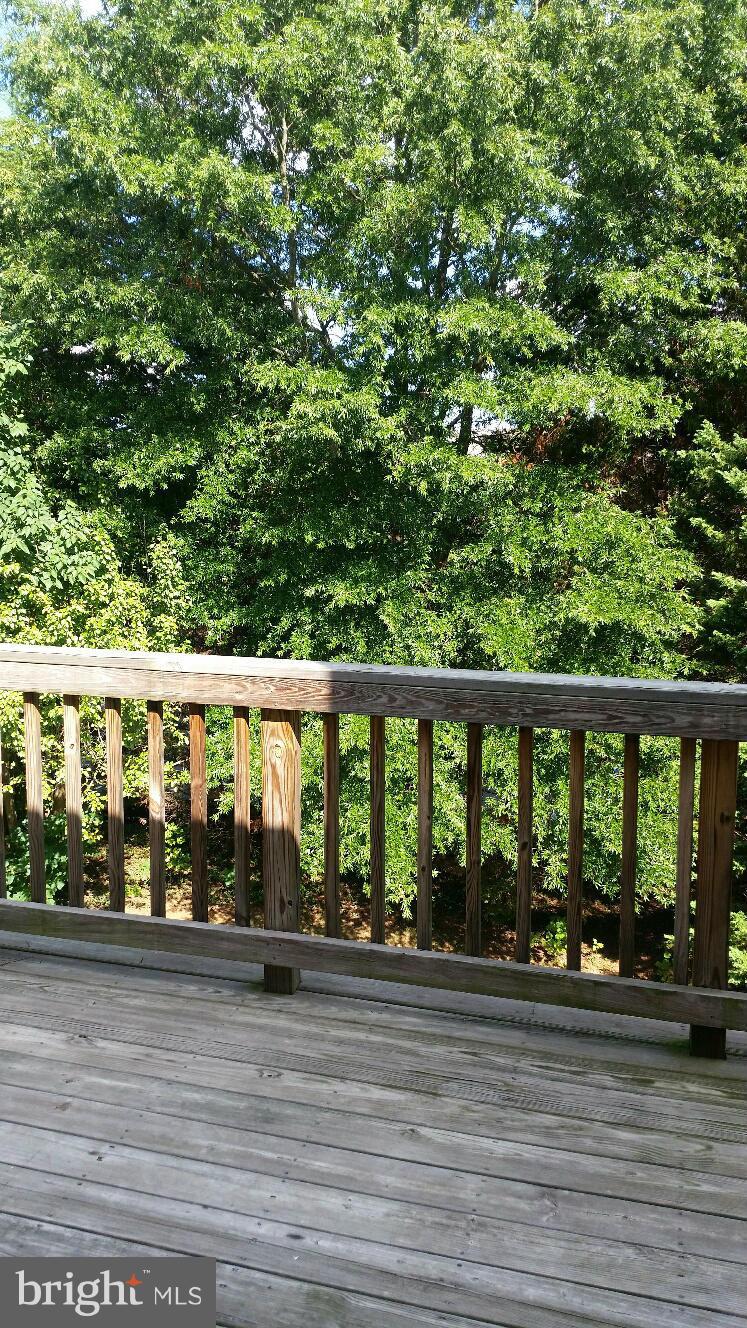 CEDARS OF WARRENTON - Residential Lease