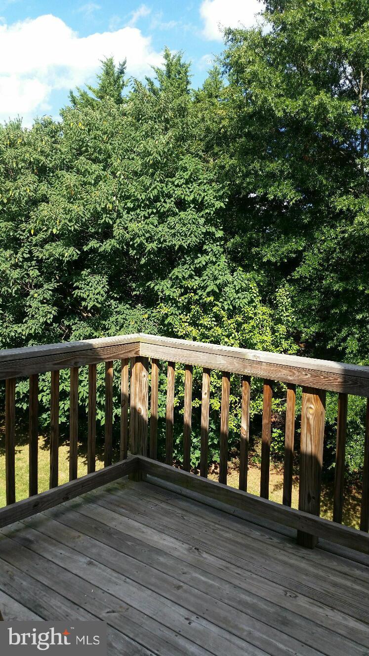 CEDARS OF WARRENTON - Residential Lease