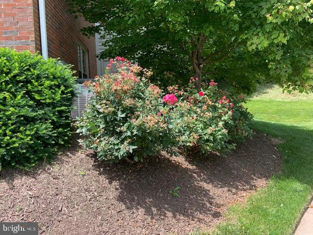 PENDERBROOK SQUARE CONDOMINIUMS - Residential Lease