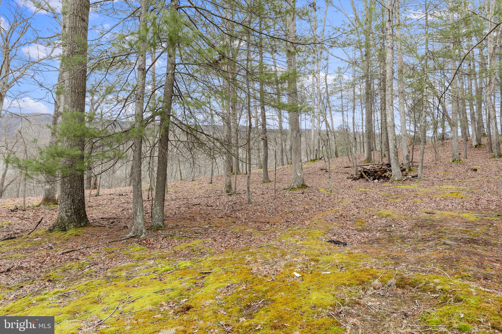 RIVER RIDGE - Residential