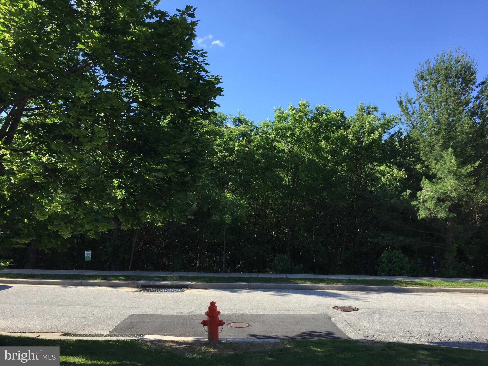 SOUTHFIELD AT WHITEMARSH - Residential