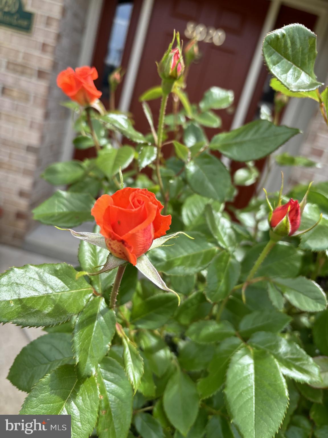 WATERSIDE - Residential