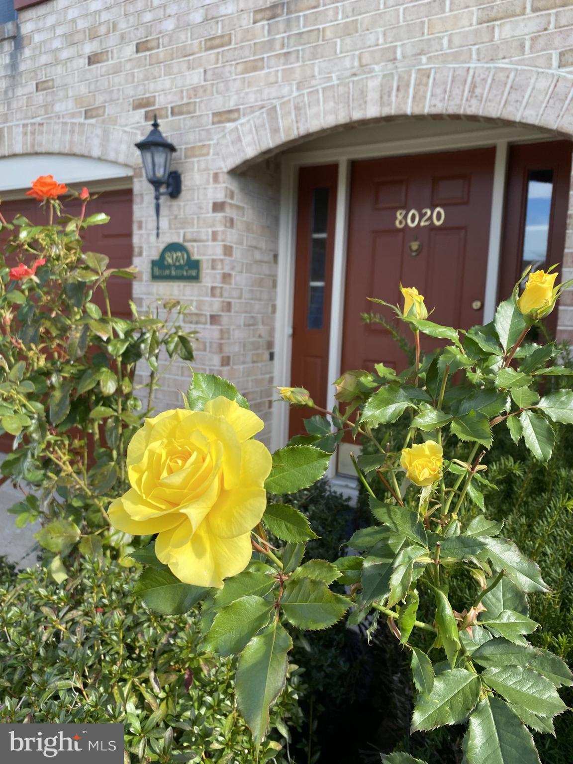 WATERSIDE - Residential