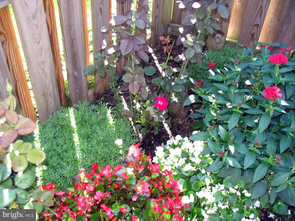 WATERSIDE - Residential