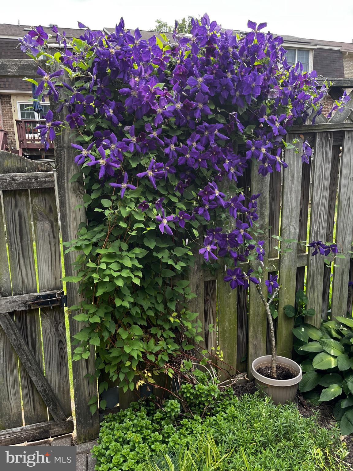 WATERSIDE - Residential