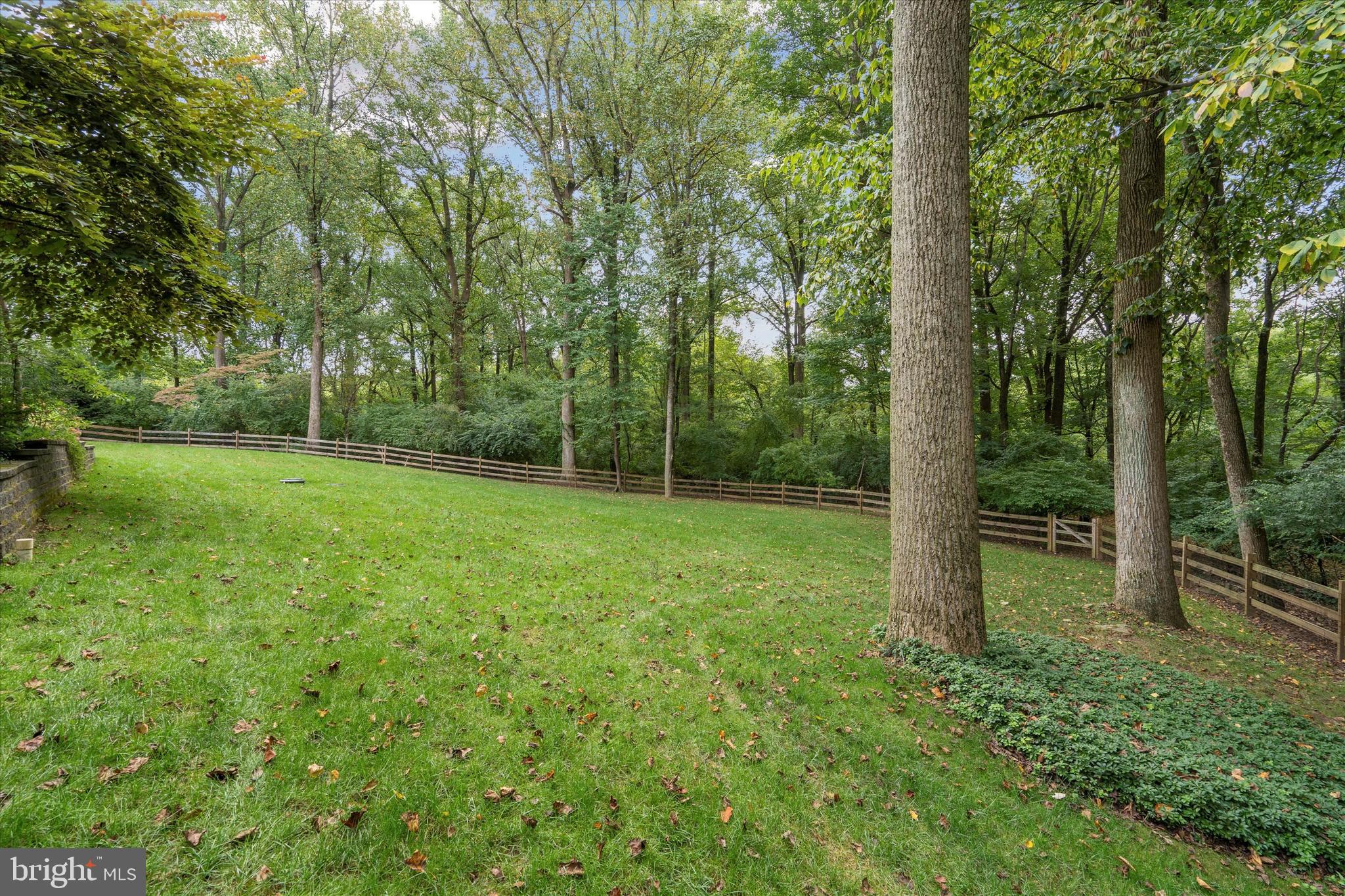 RADNOR HUNT - Residential