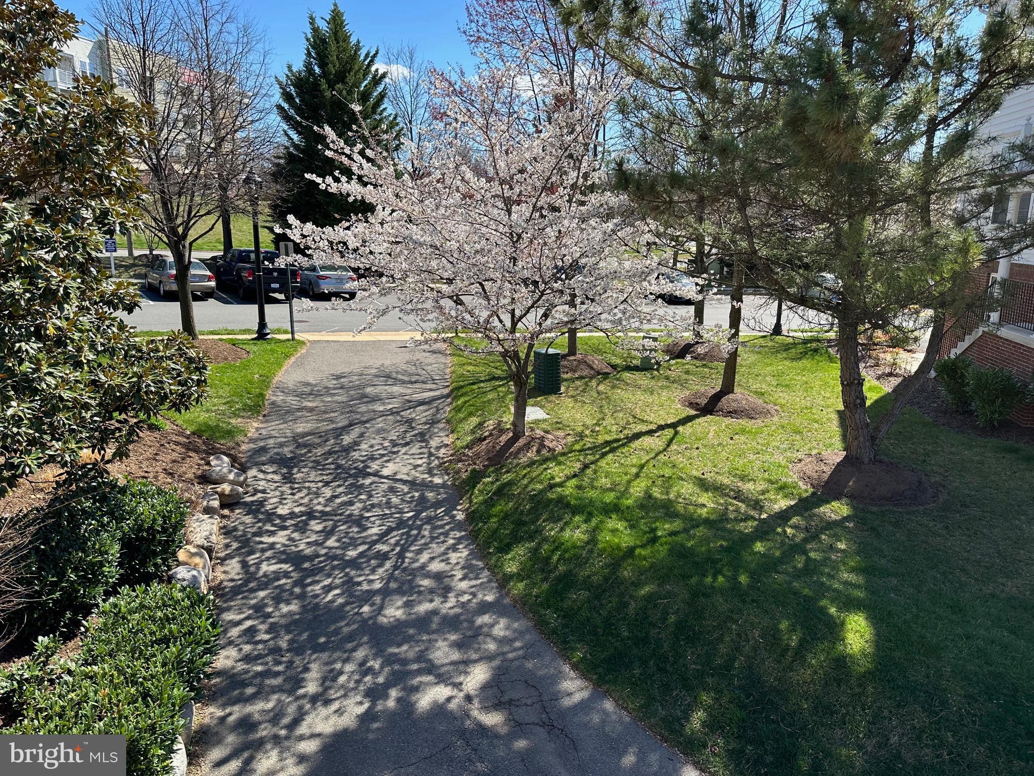 COURTS AT WESCOTT RIDGE - Residential
