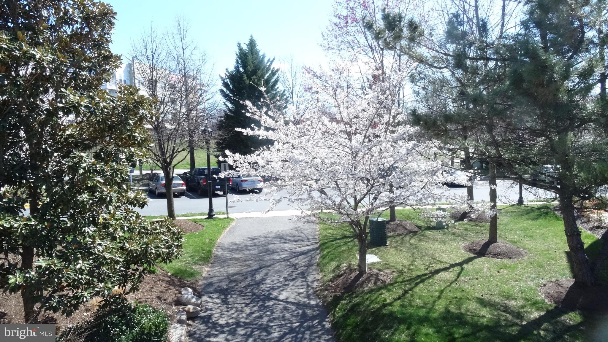 COURTS AT WESCOTT RIDGE - Residential