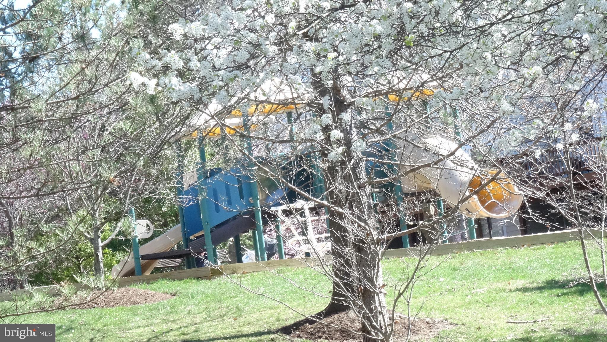 COURTS AT WESCOTT RIDGE - Residential