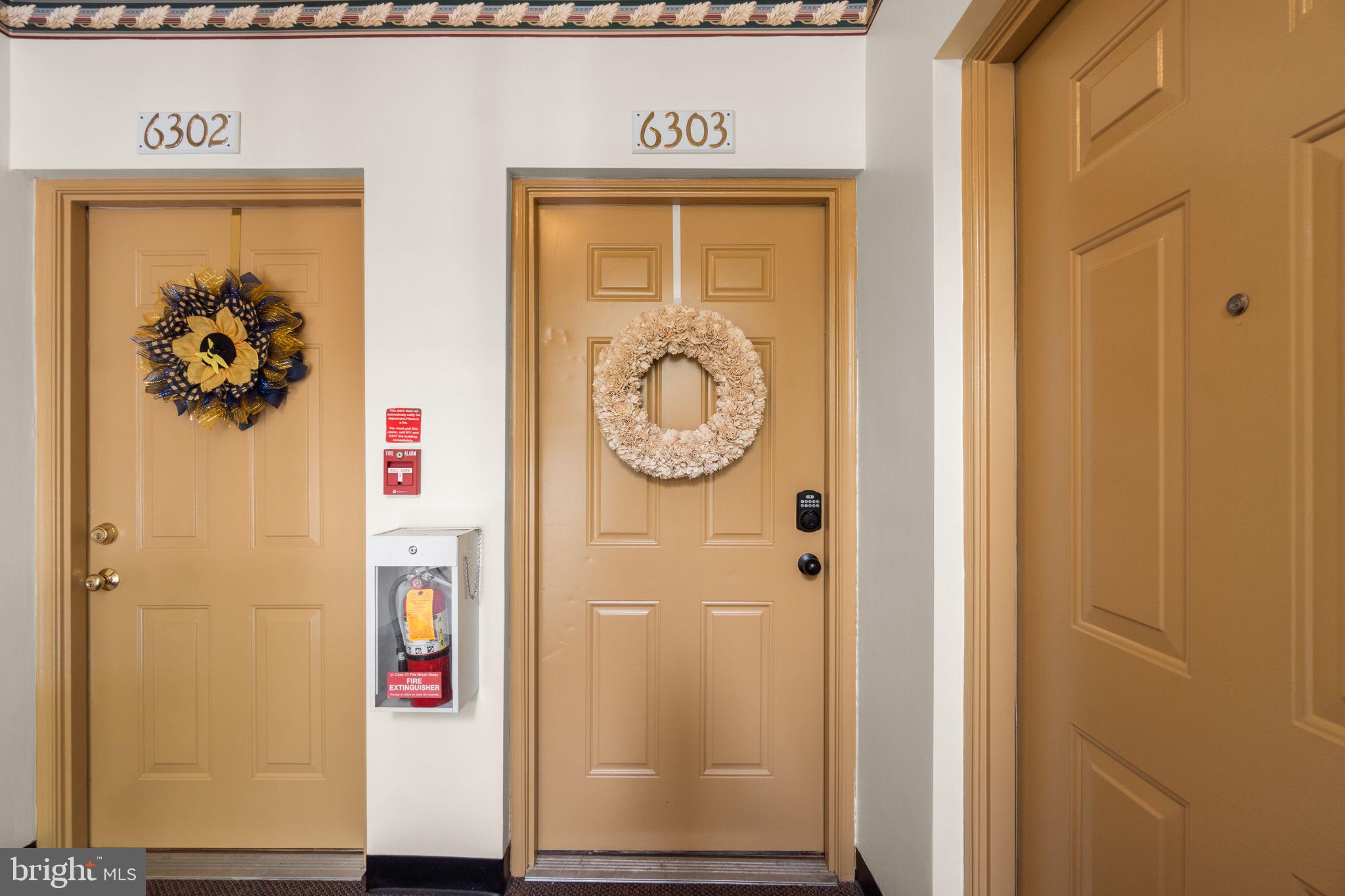 6509 SPRINGWATER COURT 6303