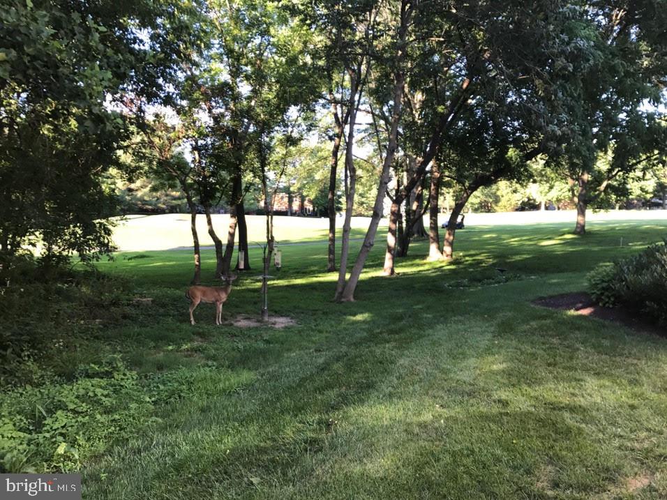 VILLAGE OF HARPERS CHOICE - Residential