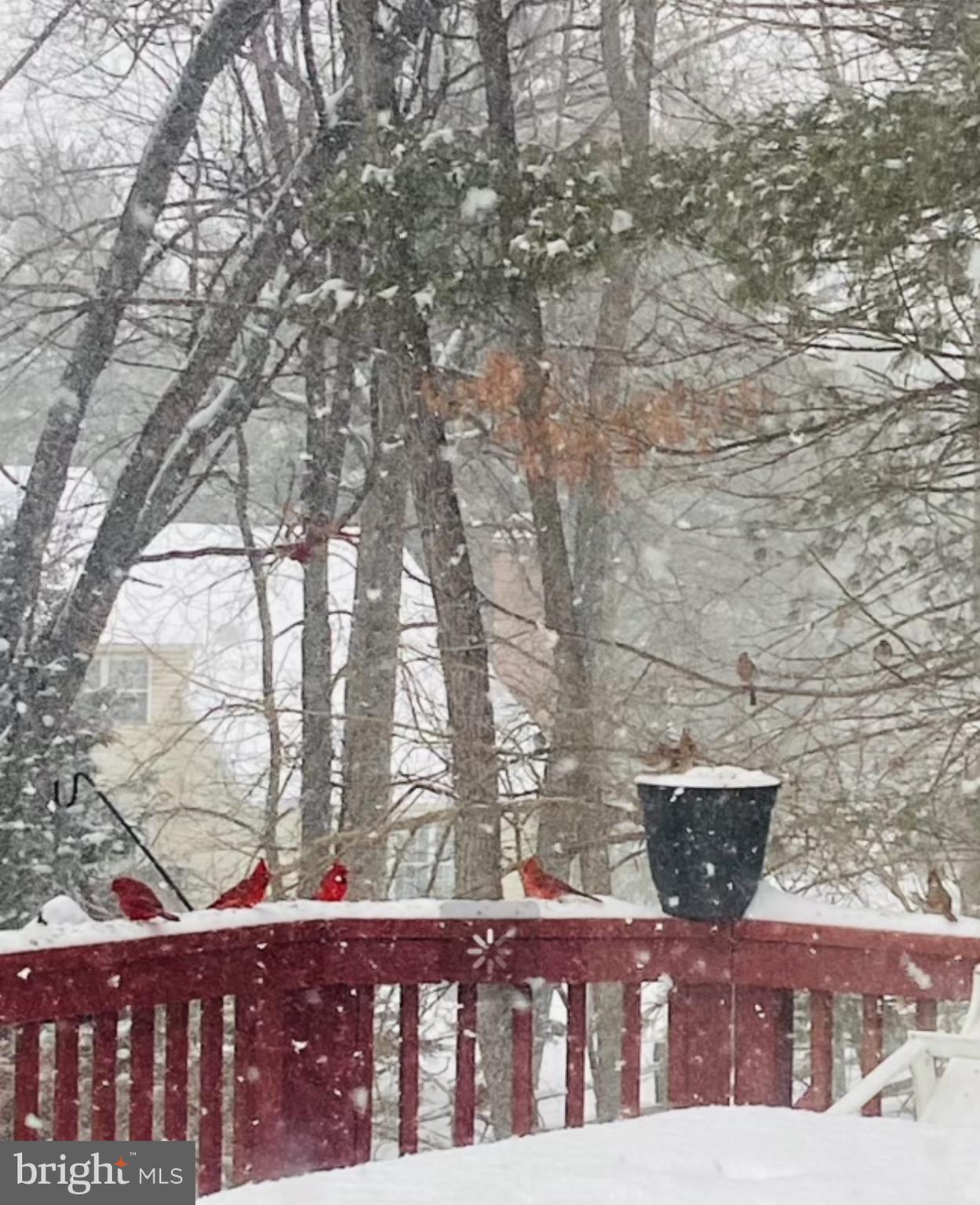 COPPER OAKS - Residential