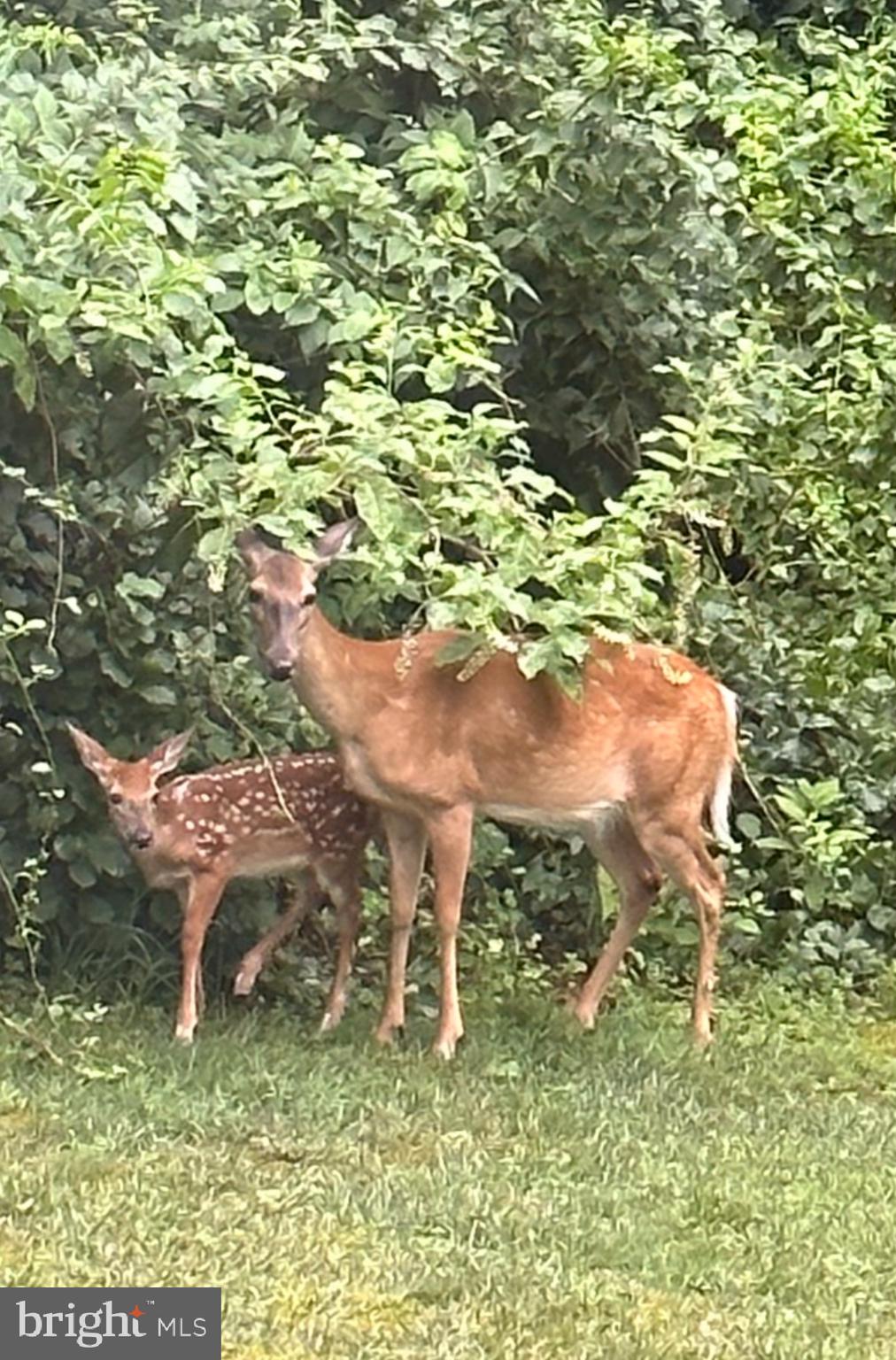COPPER OAKS - Residential