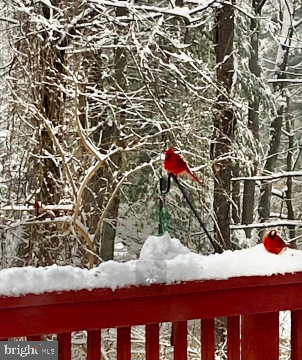 COPPER OAKS - Residential