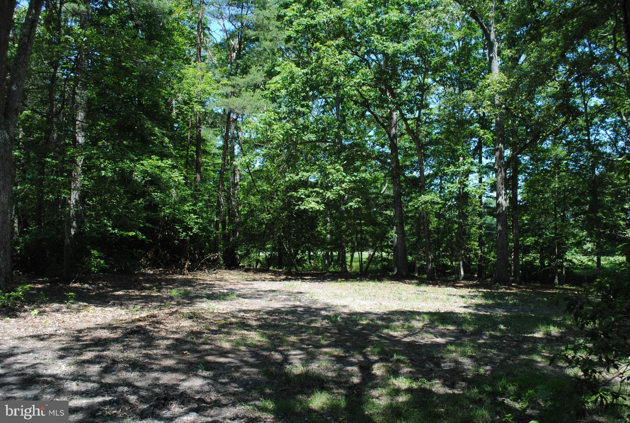 FLAT IRON - Residential