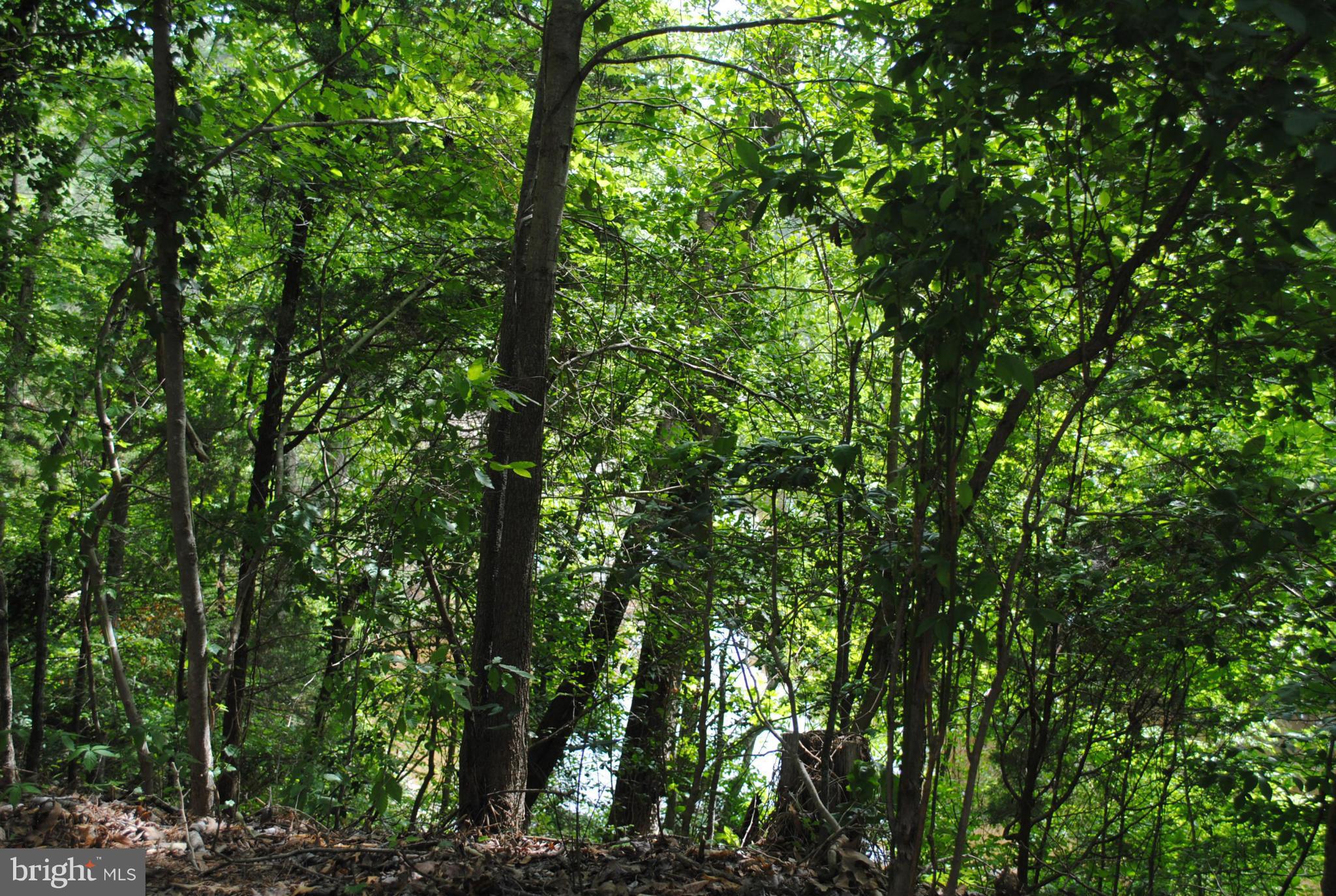 FLAT IRON - Residential