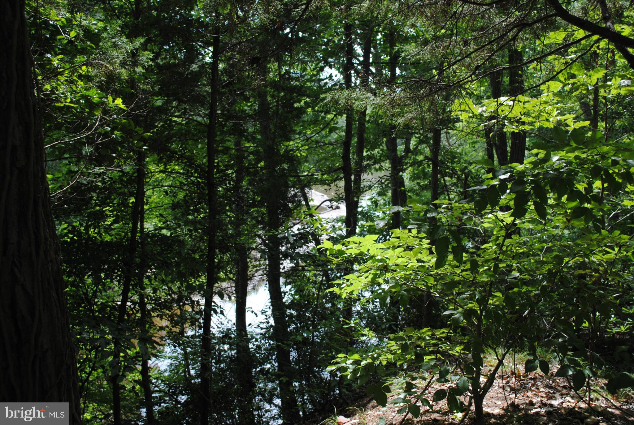 FLAT IRON - Residential