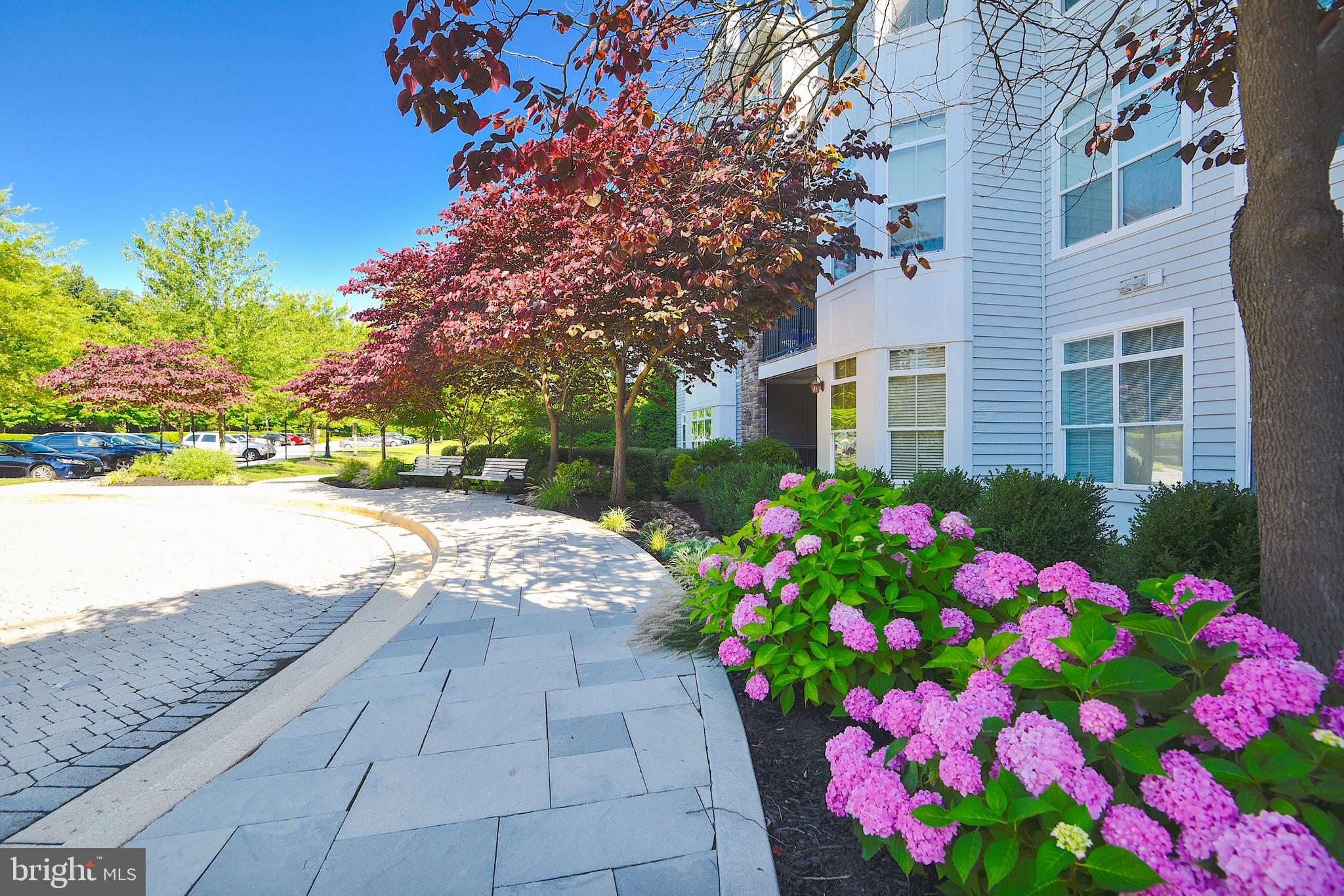 THE BLUFFS AT QUARRY LAKE - Residential