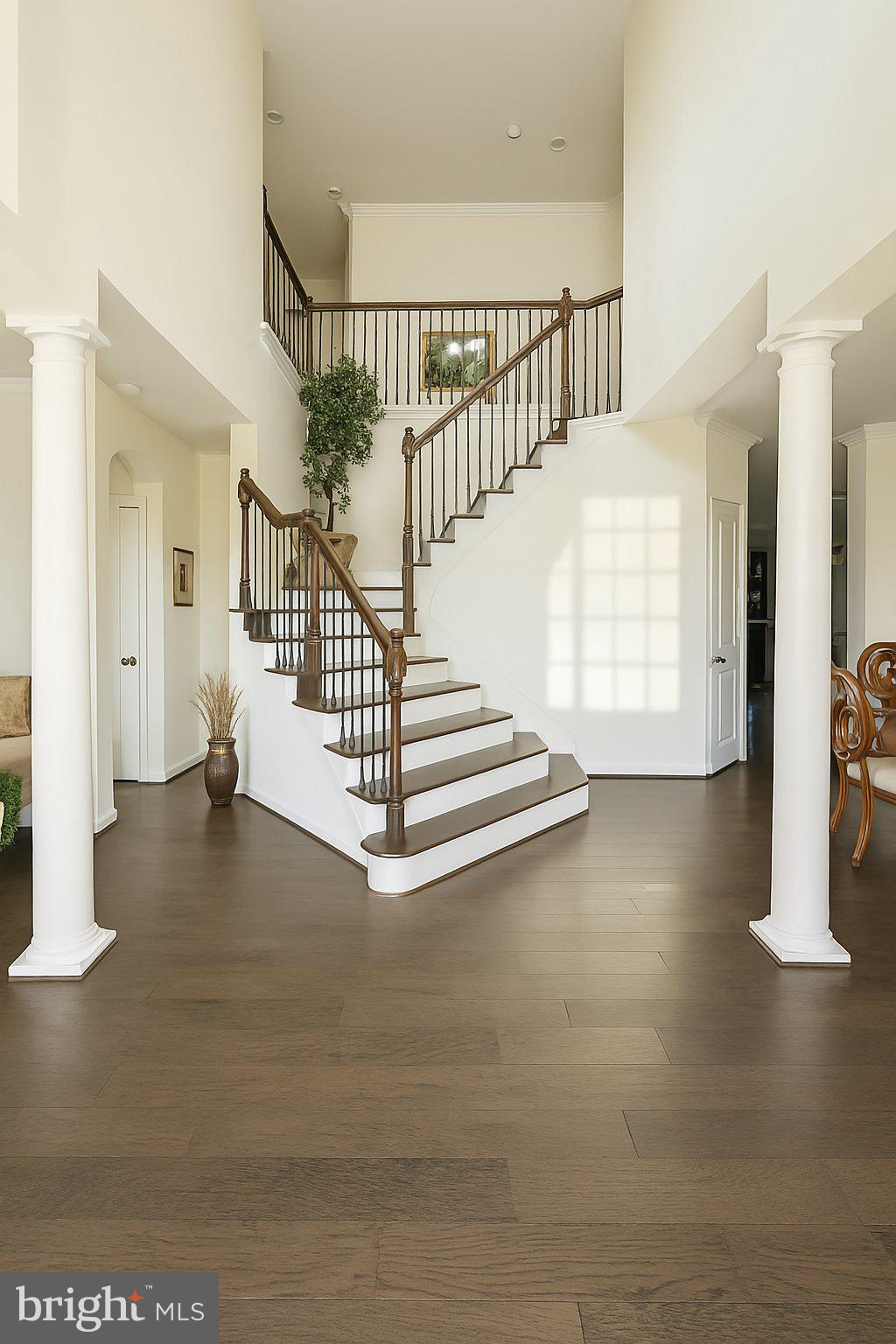 9933 BOX OAK COURT