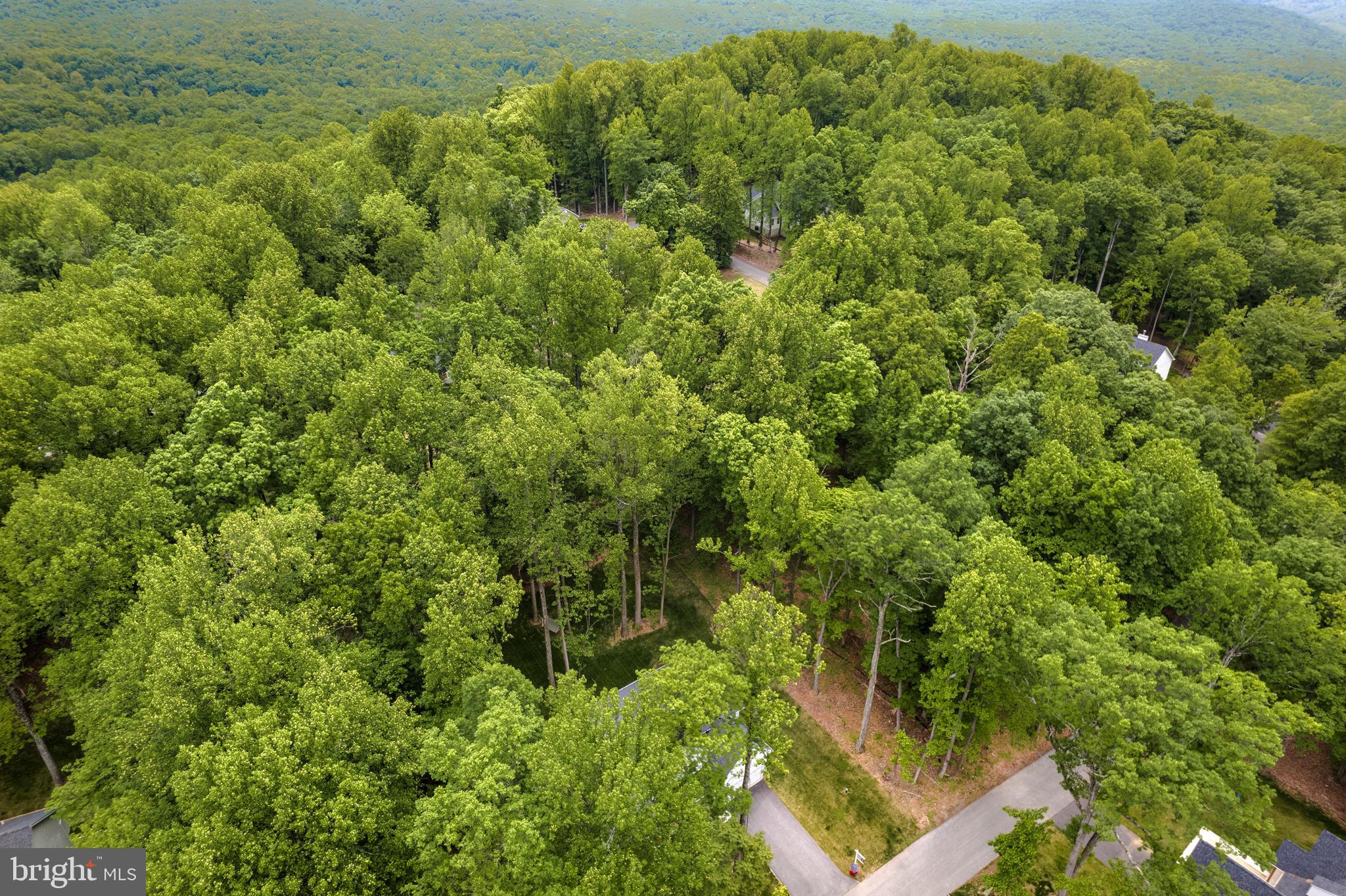 LAKE FOREST ESTATES - Residential