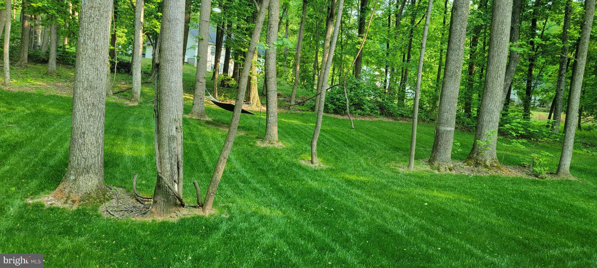 LAKE FOREST ESTATES - Residential