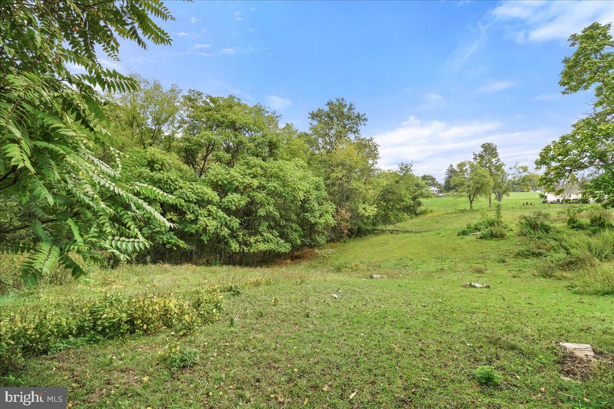 CLEAR SPRING - Residential