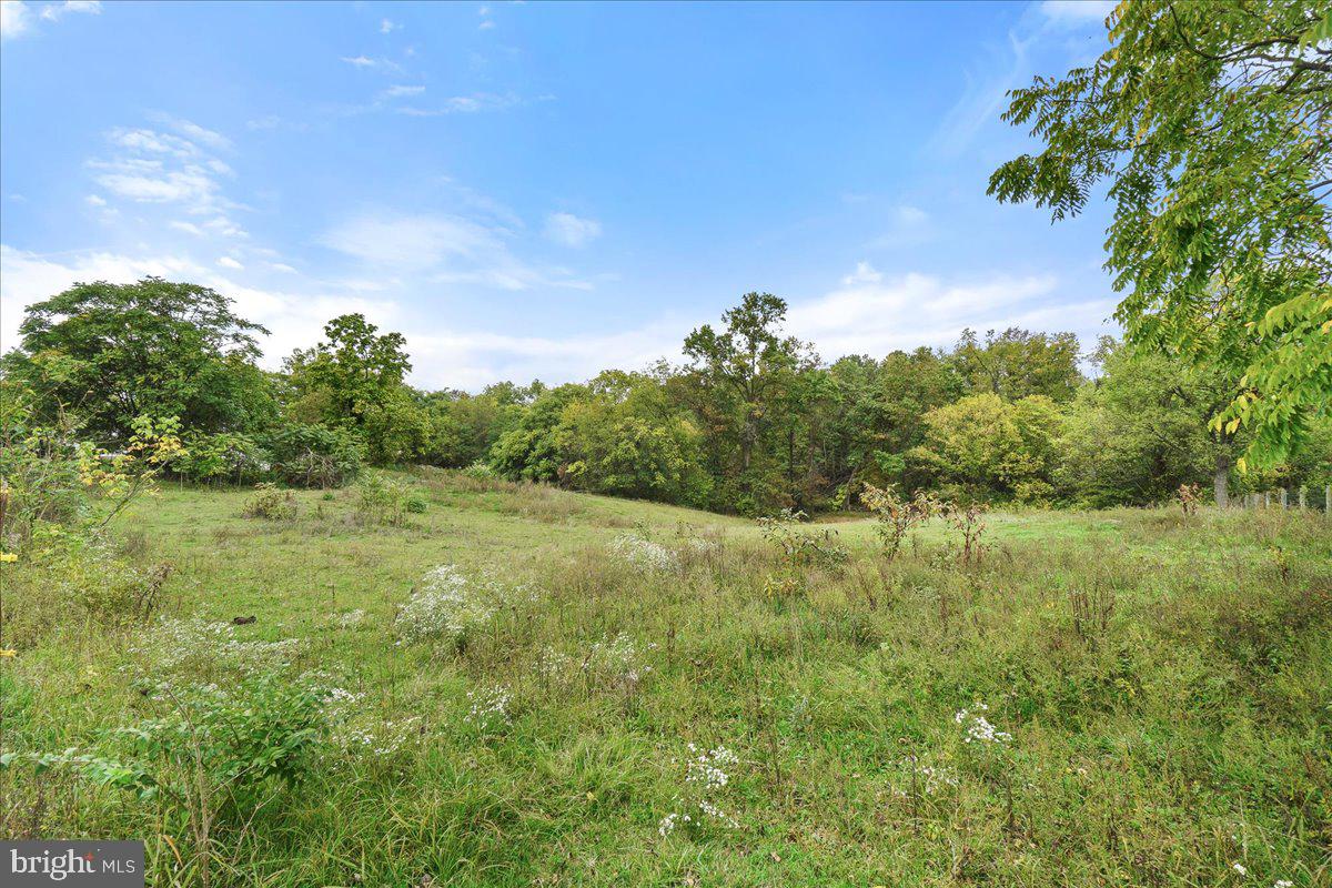 CLEAR SPRING - Residential