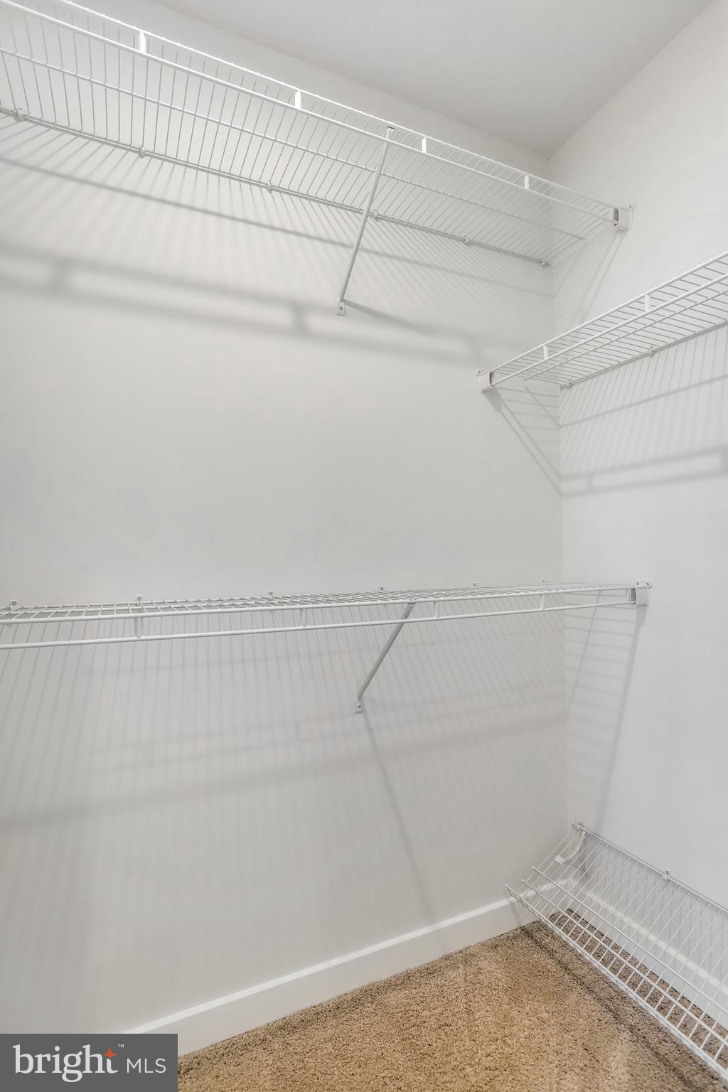 RANDOLPH FARMS - Residential Lease