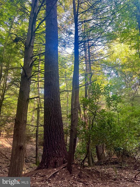 22, 34, & 33 BEECH CREEK MOUNTAIN ROAD BEECH CREEK PA 16822