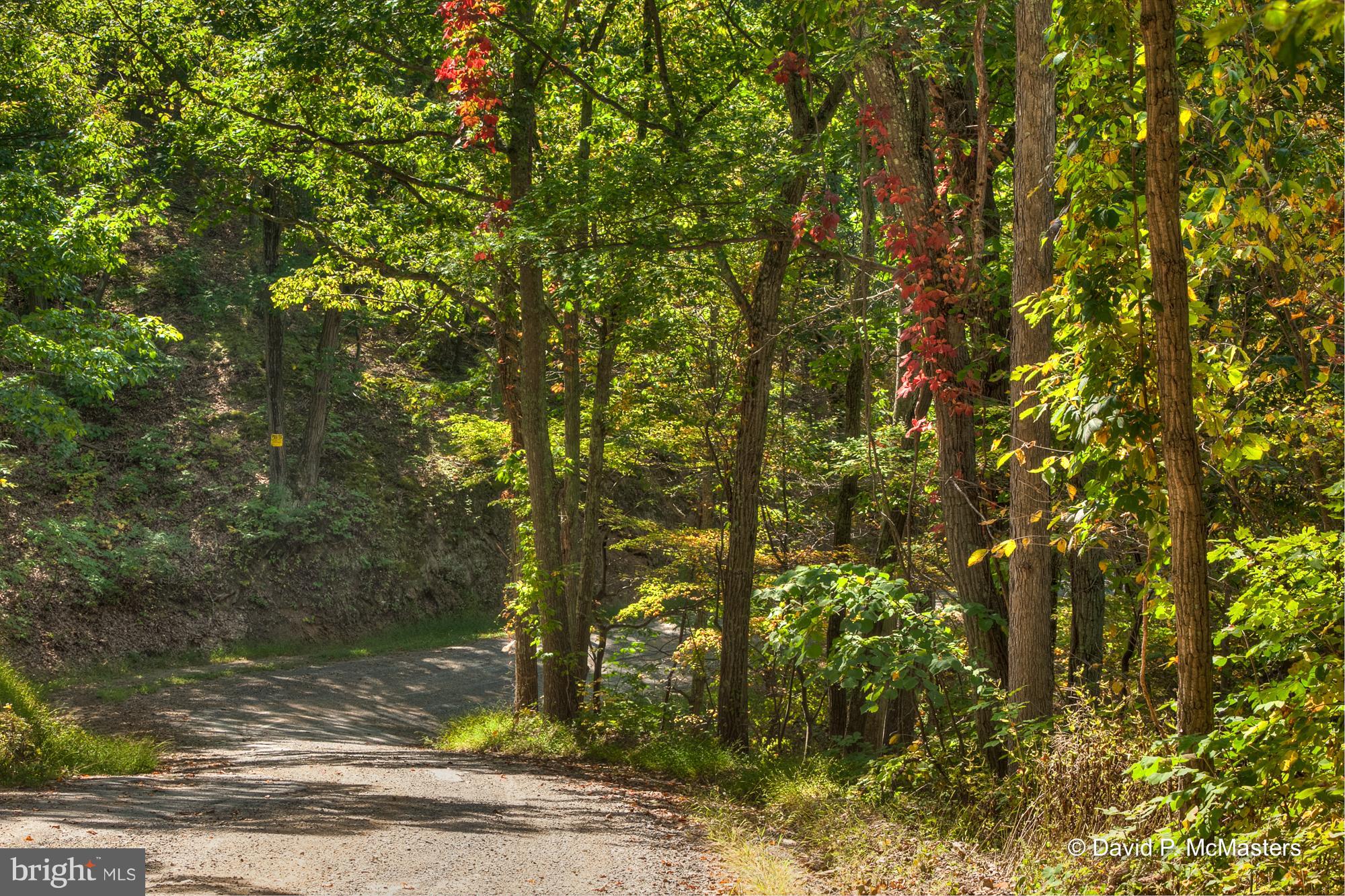 NONE AVAILABLE - Land