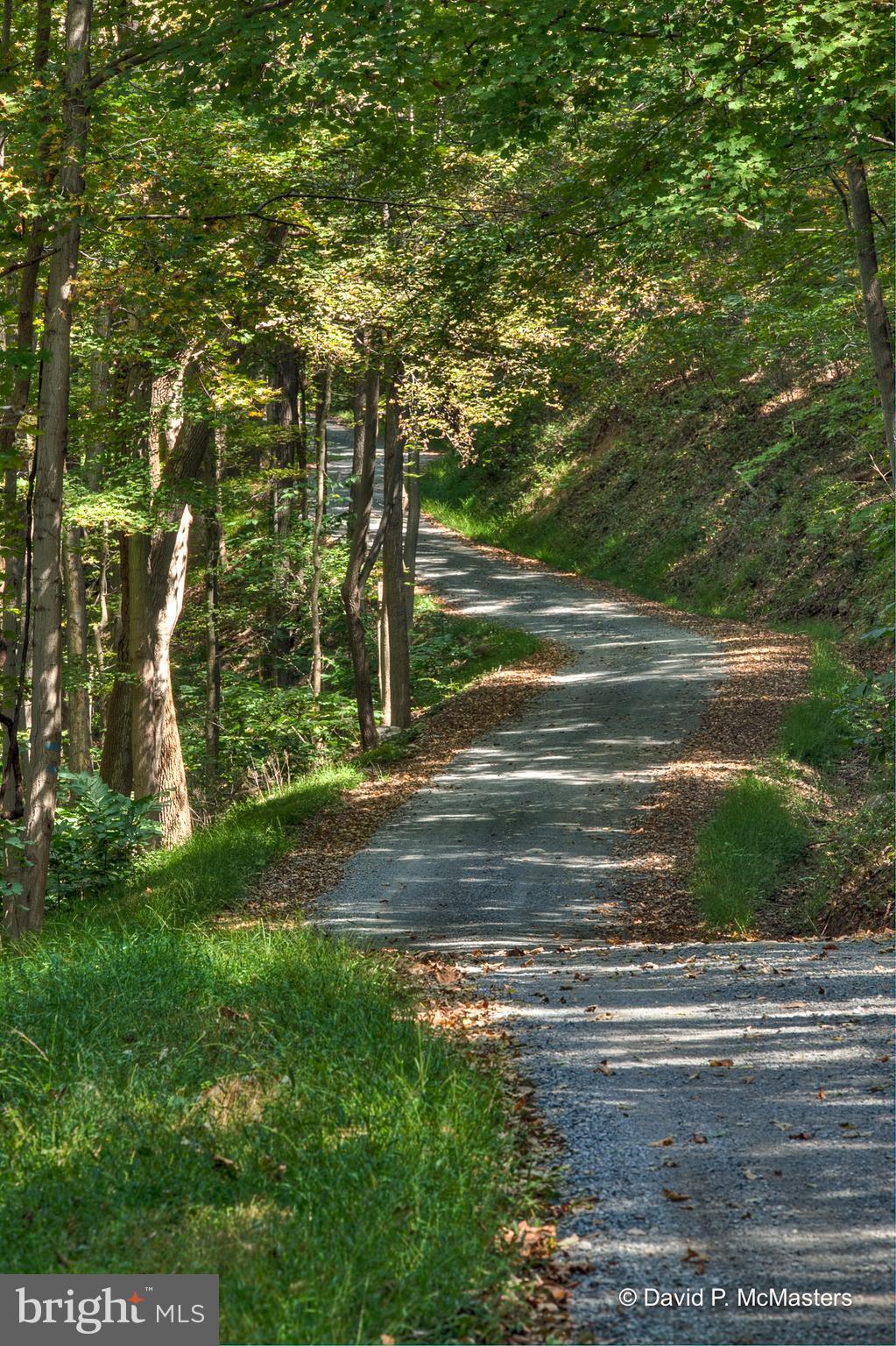 NONE AVAILABLE - Land