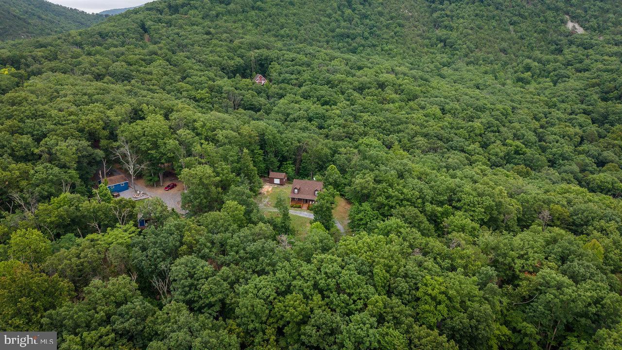 SHENANDOAH GAP - Residential